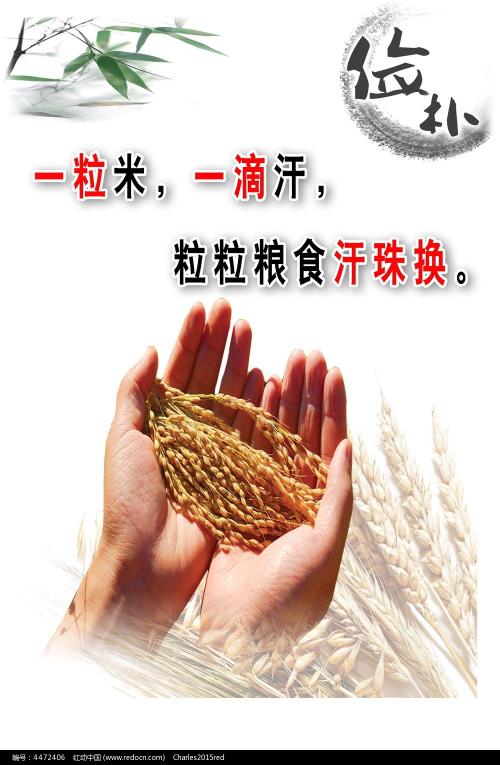 怎么买密德萨斯大学文凭毕业证
